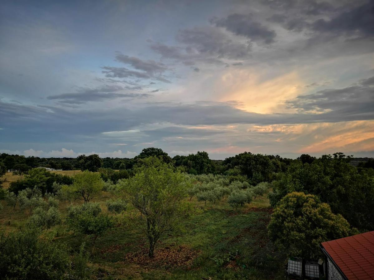 Apartment Sunrise, Coastal Istra, Pula Duga Uvala Pavicini 外观 照片